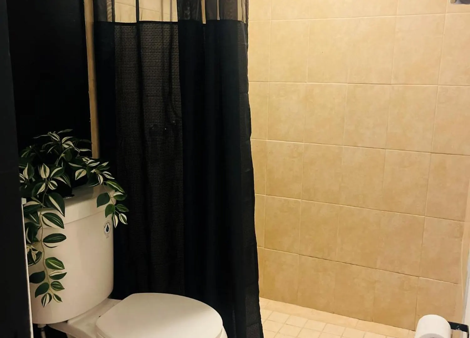 Appartement Central San Juan Studio